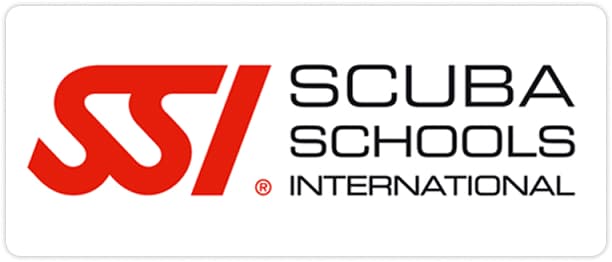 SSI logo