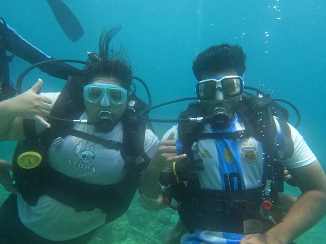 Sea turtle underwater