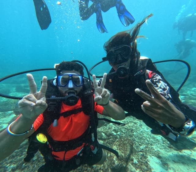 Underwater plants swaying